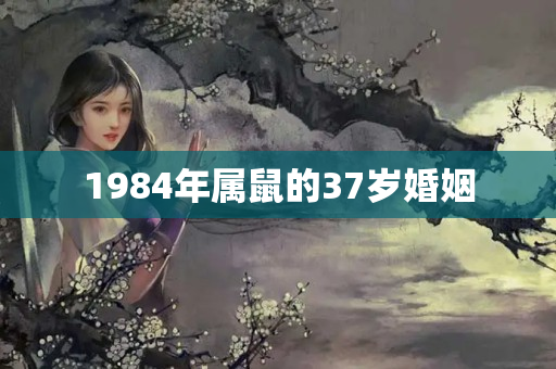 1984年属鼠的37岁婚姻