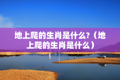 地上爬的生肖是什么?（地上爬的生肖是什么）