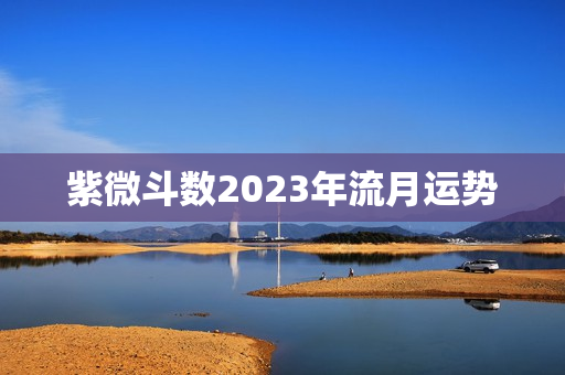 紫微斗数2023年流月运势