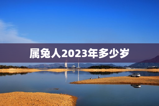 属兔人2023年多少岁