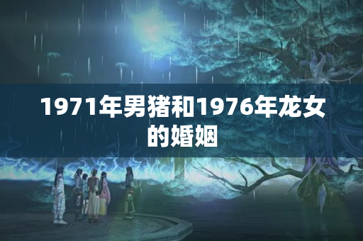 1971年男猪和1976年龙女的婚姻