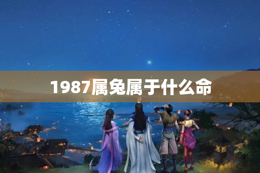 1987属兔属于什么命