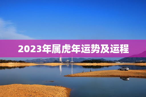 2023年属虎年运势及运程