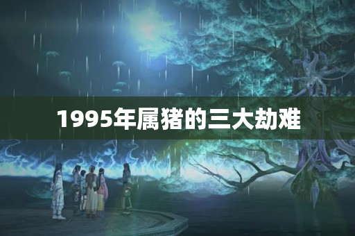 1995年属猪的三大劫难