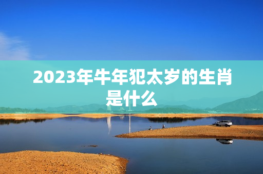 2023年牛年犯太岁的生肖是什么