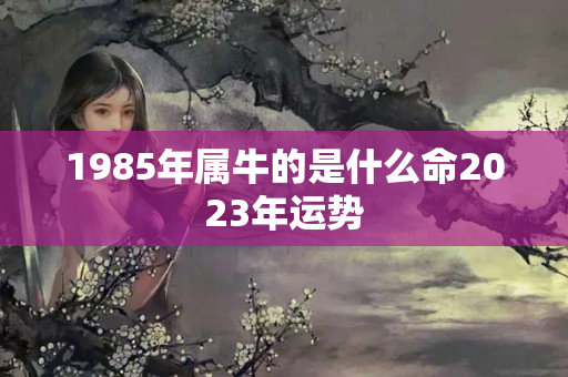 1985年属牛的是什么命2023年运势