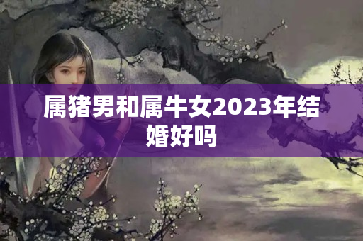 属猪男和属牛女2023年结婚好吗