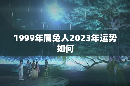 1999年属兔人2023年运势如何