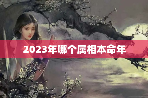 2023年哪个属相本命年