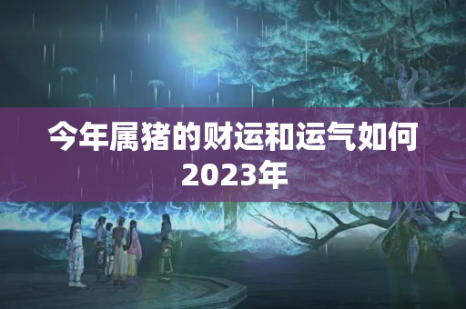 今年属猪的财运和运气如何2023年