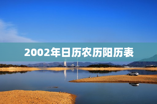 2002年日历农历阳历表