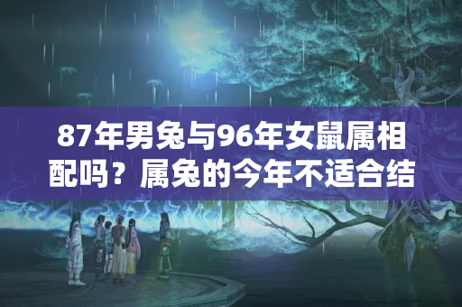 87年男兔与96年女鼠属相配吗？属兔的今年不适合结婚吗