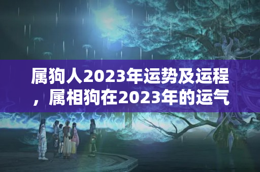 属狗人2023年运势及运程，属相狗在2023年的运气好不好