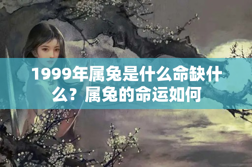 1999年属兔是什么命缺什么？属兔的命运如何