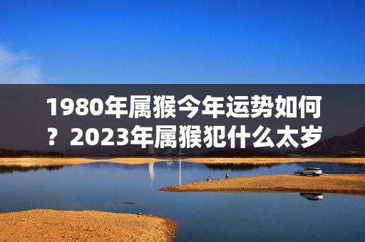 1980年属猴今年运势如何？2023年属猴犯什么太岁