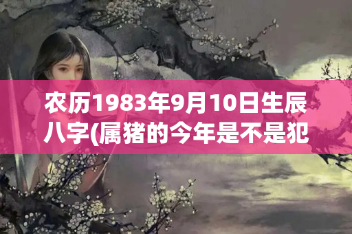 农历1983年9月10日生辰八字(属猪的今年是不是犯太岁)