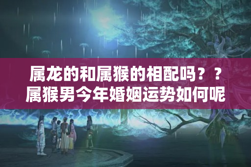 属龙的和属猴的相配吗？？属猴男今年婚姻运势如何呢图片