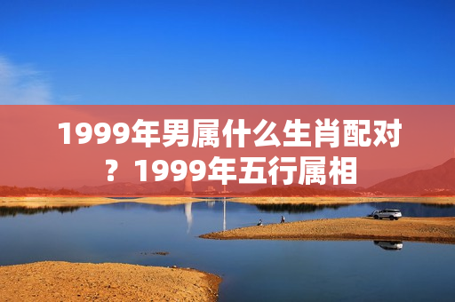 1999年男属什么生肖配对？1999年五行属相