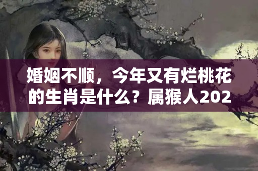 婚姻不顺，今年又有烂桃花的生肖是什么？属猴人2024年的运势