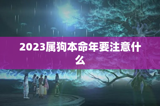 2023属狗本命年要注意什么