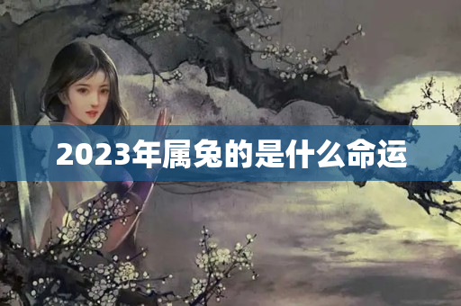 2023年属兔的是什么命运