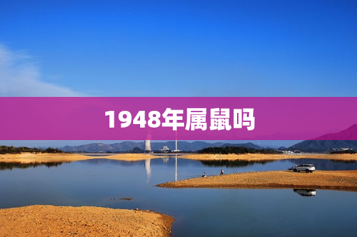 1948年属鼠吗