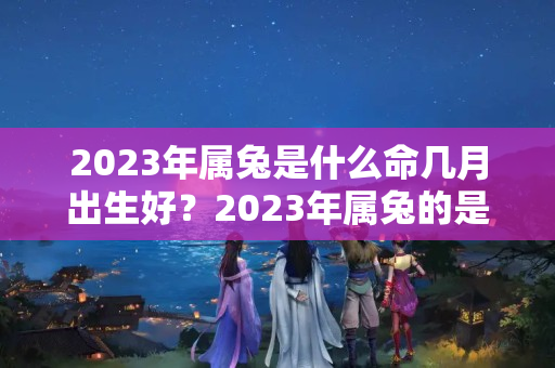 2023年属兔是什么命几月出生好？2023年属兔的是什么命运