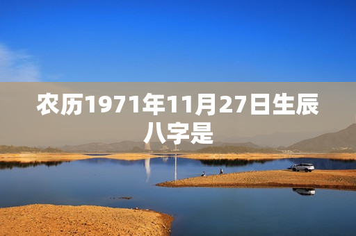 农历1971年11月27日生辰八字是