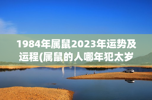 1984年属鼠2023年运势及运程(属鼠的人哪年犯太岁)