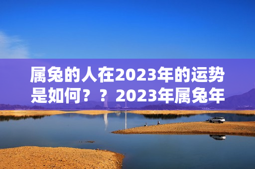 属兔的人在2023年的运势是如何？？2023年属兔年是什么命几点出生好