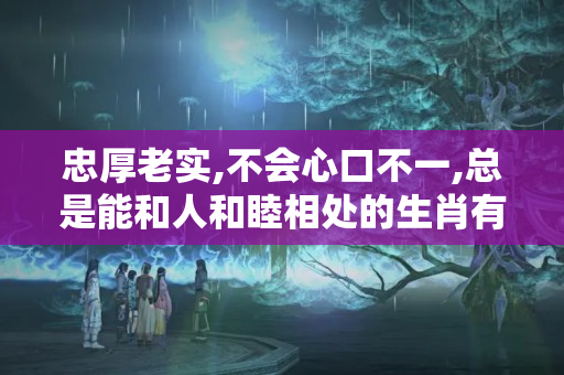 忠厚老实,不会心口不一,总是能和人和睦相处的生肖有哪些?