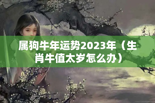 属狗牛年运势2023年（生肖牛值太岁怎么办）