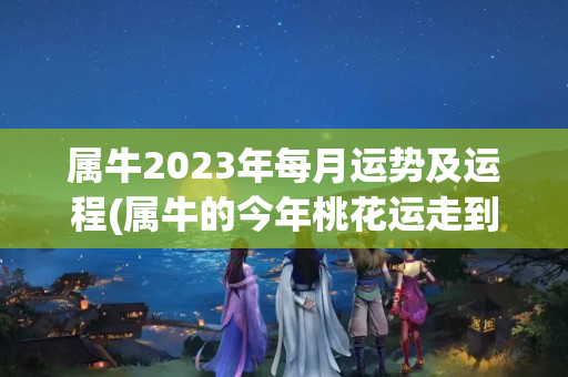 属牛2023年每月运势及运程(属牛的今年桃花运走到什么时候)