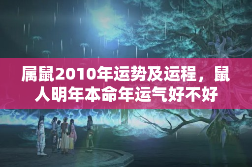 属鼠2010年运势及运程，鼠人明年本命年运气好不好