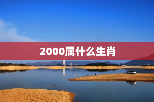 2000属什么生肖