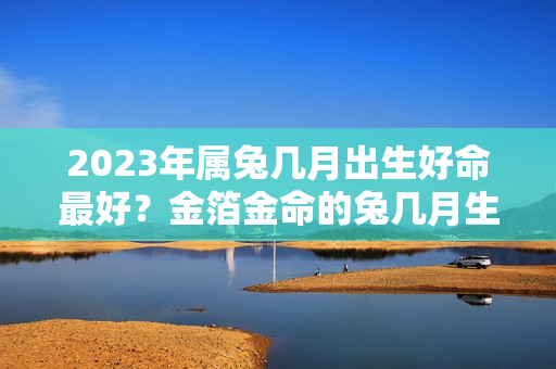 2023年属兔几月出生好命最好？金箔金命的兔几月生好