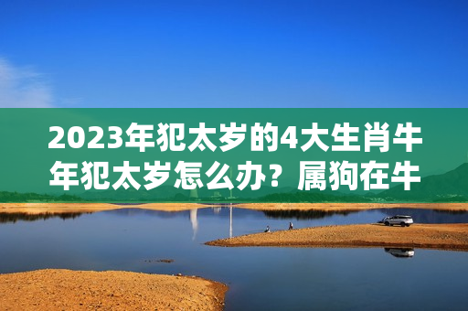 2023年犯太岁的4大生肖牛年犯太岁怎么办？属狗在牛年好不好