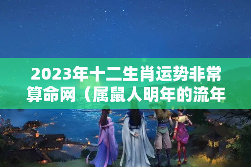 2023年十二生肖运势非常算命网（属鼠人明年的流年运势如何）