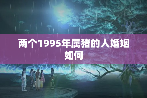 两个1995年属猪的人婚姻如何