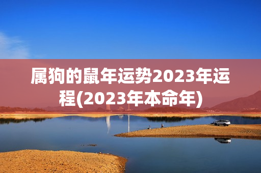 属狗的鼠年运势2023年运程(2023年本命年)