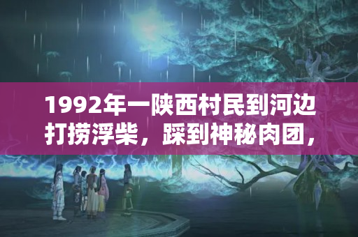 1992年一陕西村民到河边打捞浮柴，踩到神秘肉团，专家：这是太岁，挖出太岁怎么处理