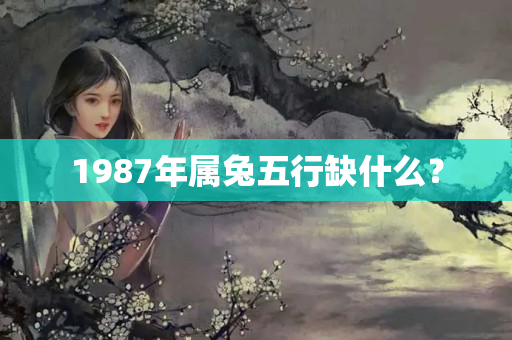 1987年属兔五行缺什么？