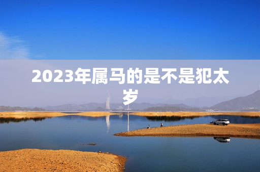 2023年属马的是不是犯太岁