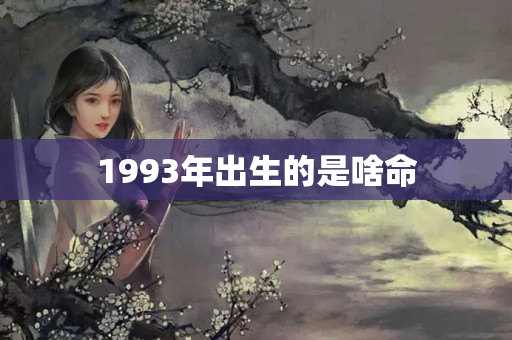 1993年出生的是啥命