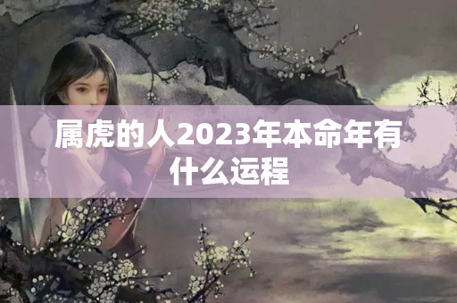 属虎的人2023年本命年有什么运程