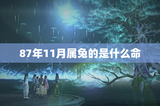 87年11月属兔的是什么命