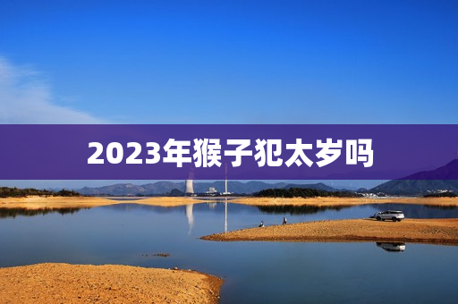 2023年猴子犯太岁吗