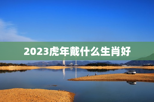 2023虎年戴什么生肖好