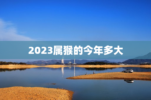 2023属猴的今年多大