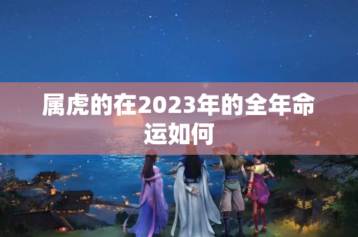 属虎的在2023年的全年命运如何